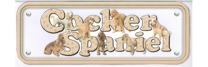 Cocker Spaniel - golden Cocker Spaniel - golden